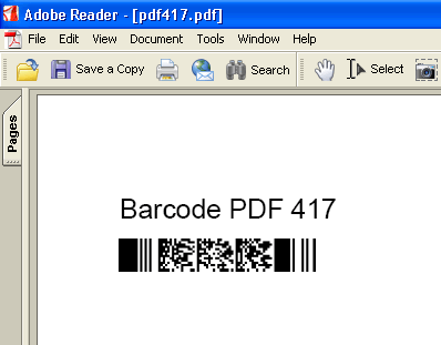 PDF 417 Barcode